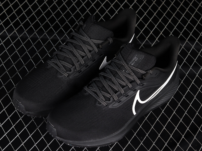 Air Zoom Pegasus 39 Black/Black/Silver 17