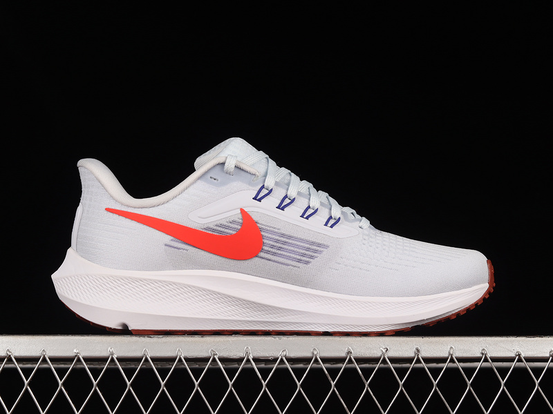 Air Zoom Pegasus 39 Grey/Bright Crimson/Red 19