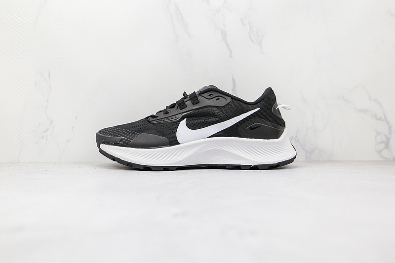 Air Pegasus Trail 3 Black/Dark Smoke Grey/Pure Platinum 13