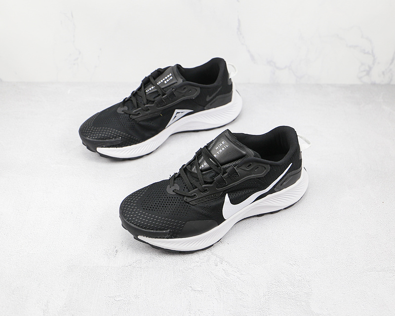 Air Pegasus Trail 3 Black/Dark Smoke Grey/Pure Platinum 17