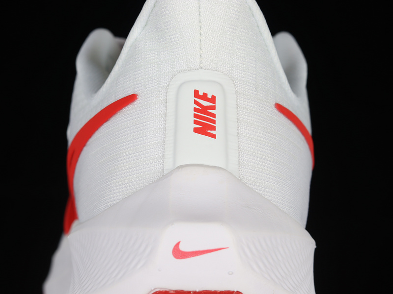 Air Zoom Pegasus 39 White/White/Red 9