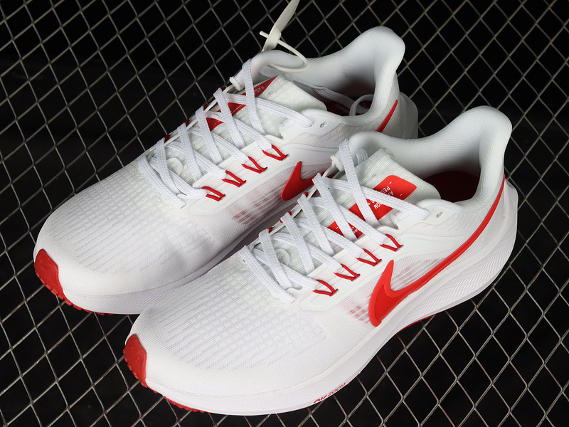 Air Zoom Pegasus 39 White/White/Red 29