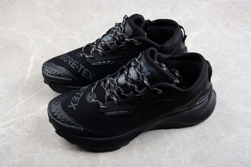 Pegasus Trail 3 Gtx Black/Black/Black 11