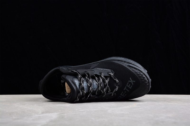 Pegasus Trail 3 Gtx Black/Black/Black 31