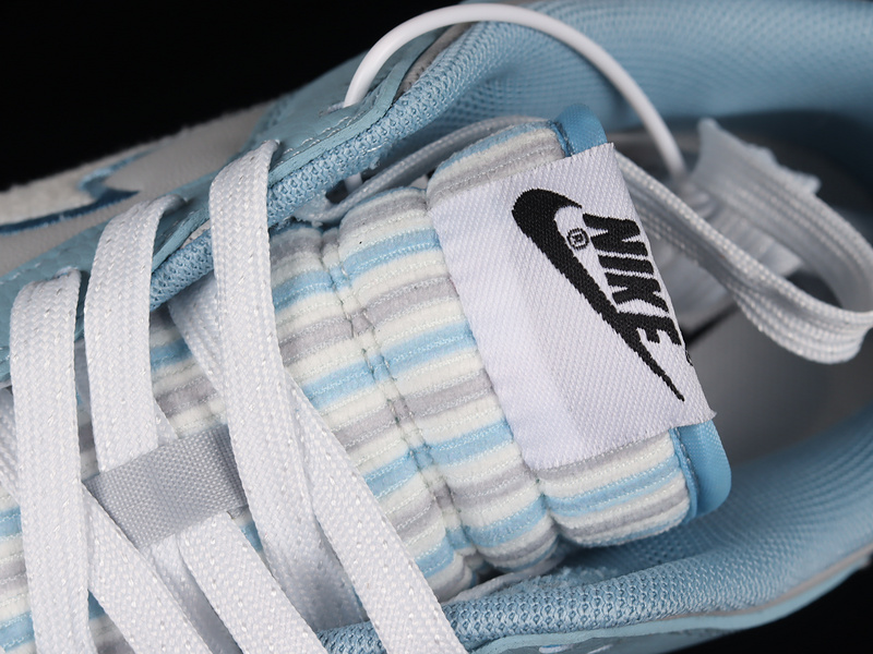 Dunk Low Fleece Swoosh Light Blue 29