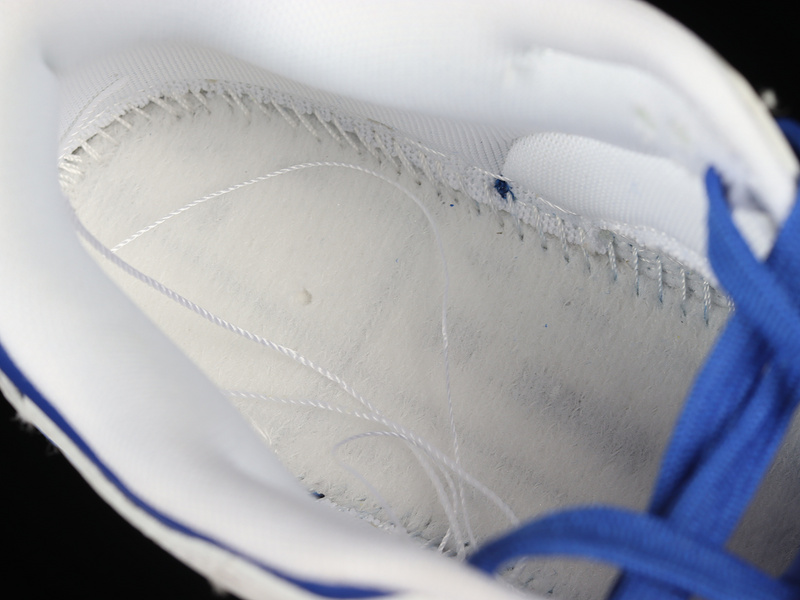 Dunk Low 'Racer Blue White'racer Blue/White/Racer Blue 13