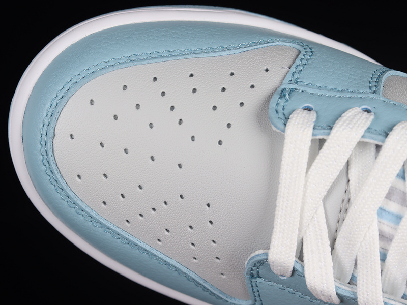 Dunk Low Sb Retro Fleece Swoosh/Light Blue 19