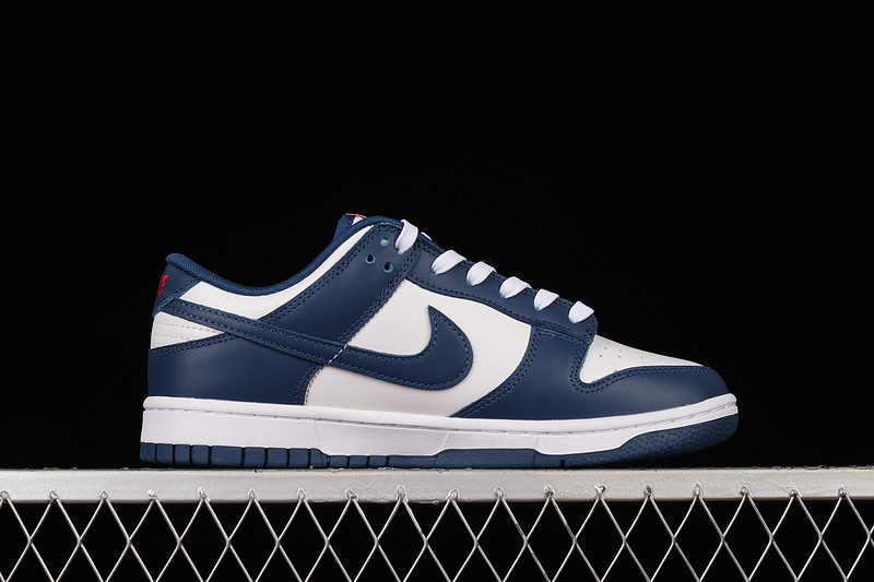 Dunk Low White/University Red/Valerian Blue 19