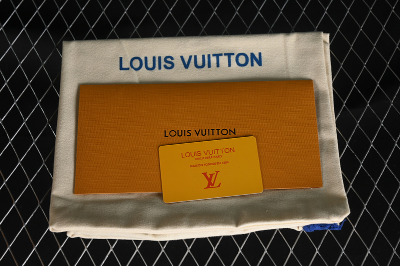 Louis Vuitton Oasis Black 17